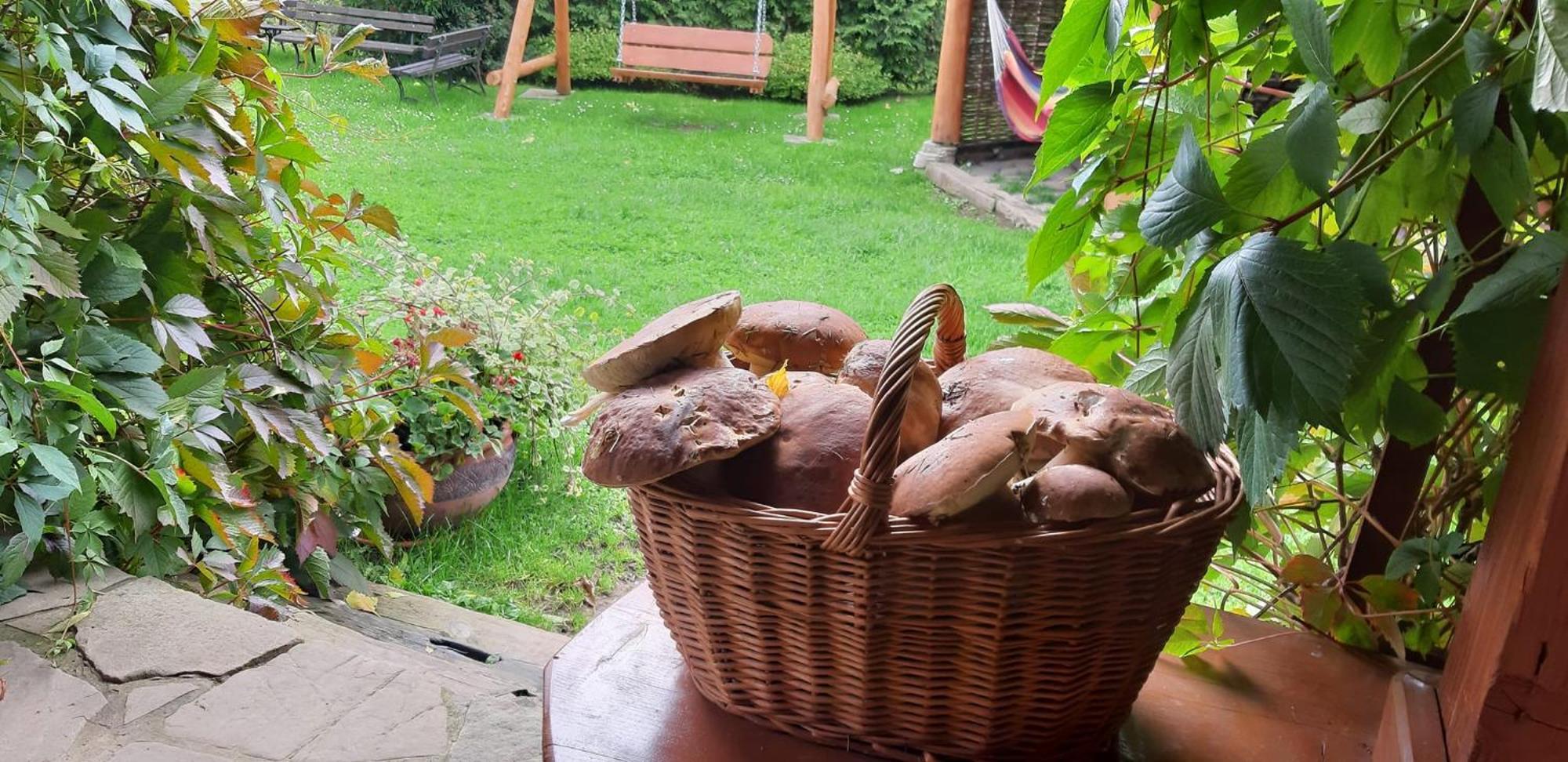 Pegazowa Wola Cisna Appartement Buitenkant foto