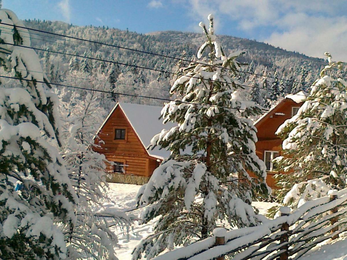 Pegazowa Wola Cisna Appartement Buitenkant foto