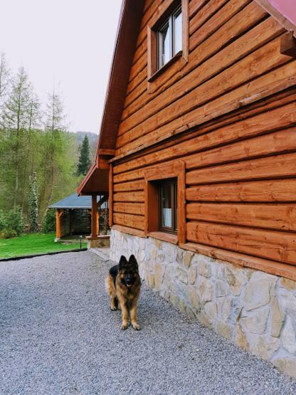 Pegazowa Wola Cisna Appartement Buitenkant foto